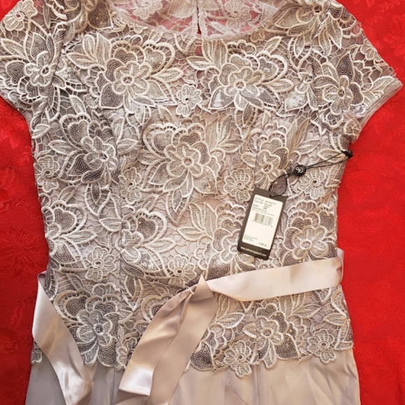 Adrianna Papell Sequin Lace Bodice and Arcadia Ski - Picture 5 of 8